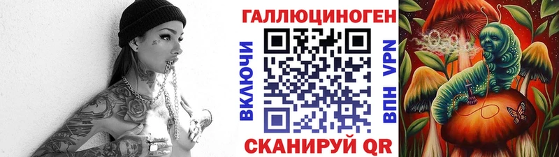 МЕГА рабочий сайт Пучеж Псилоцибиновые грибы мицелий